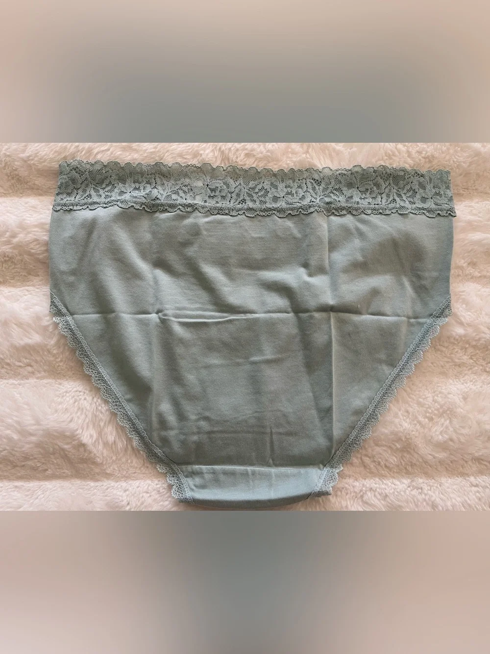 State of Day Intimates Women Lace Waist Panty Gray Mist Large Underwear NWT